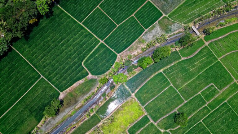 Mapping the Global Digital Farm Management Industry to Support Agritech Investment Planning