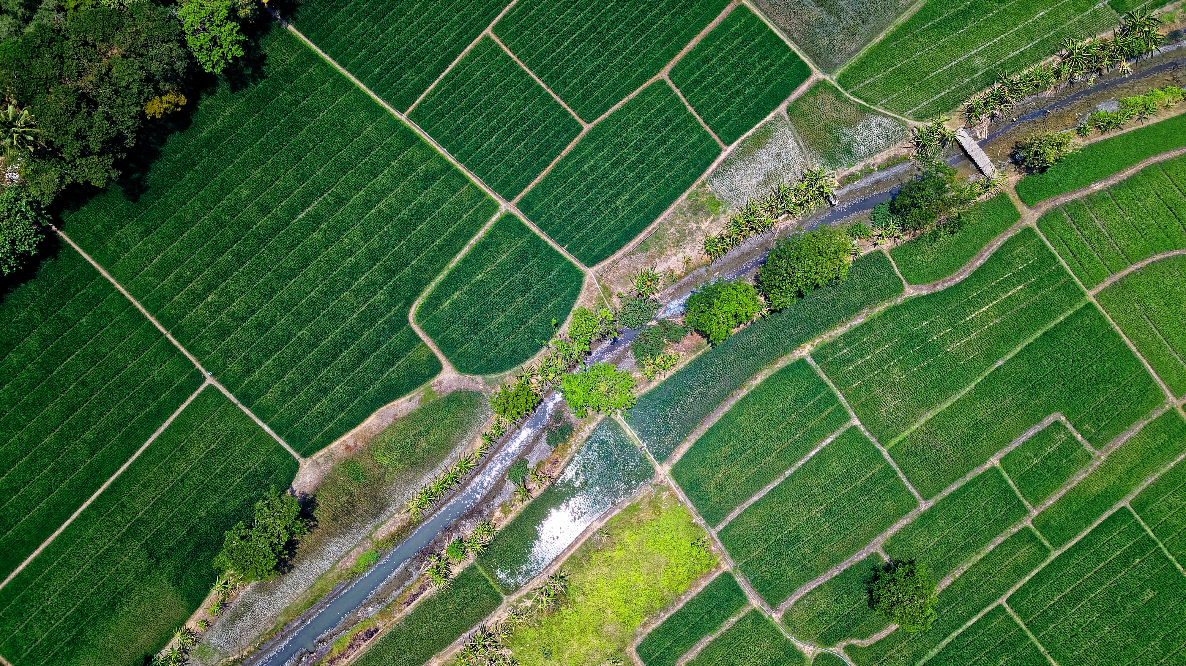 Mapping the Global Digital Farm Management Industry to Support Agritech Investment Planning