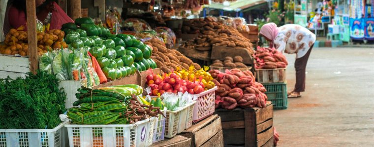Marketing Strategy for a New Large-Scale, Solar-Powered Greenhouse in Indonesia