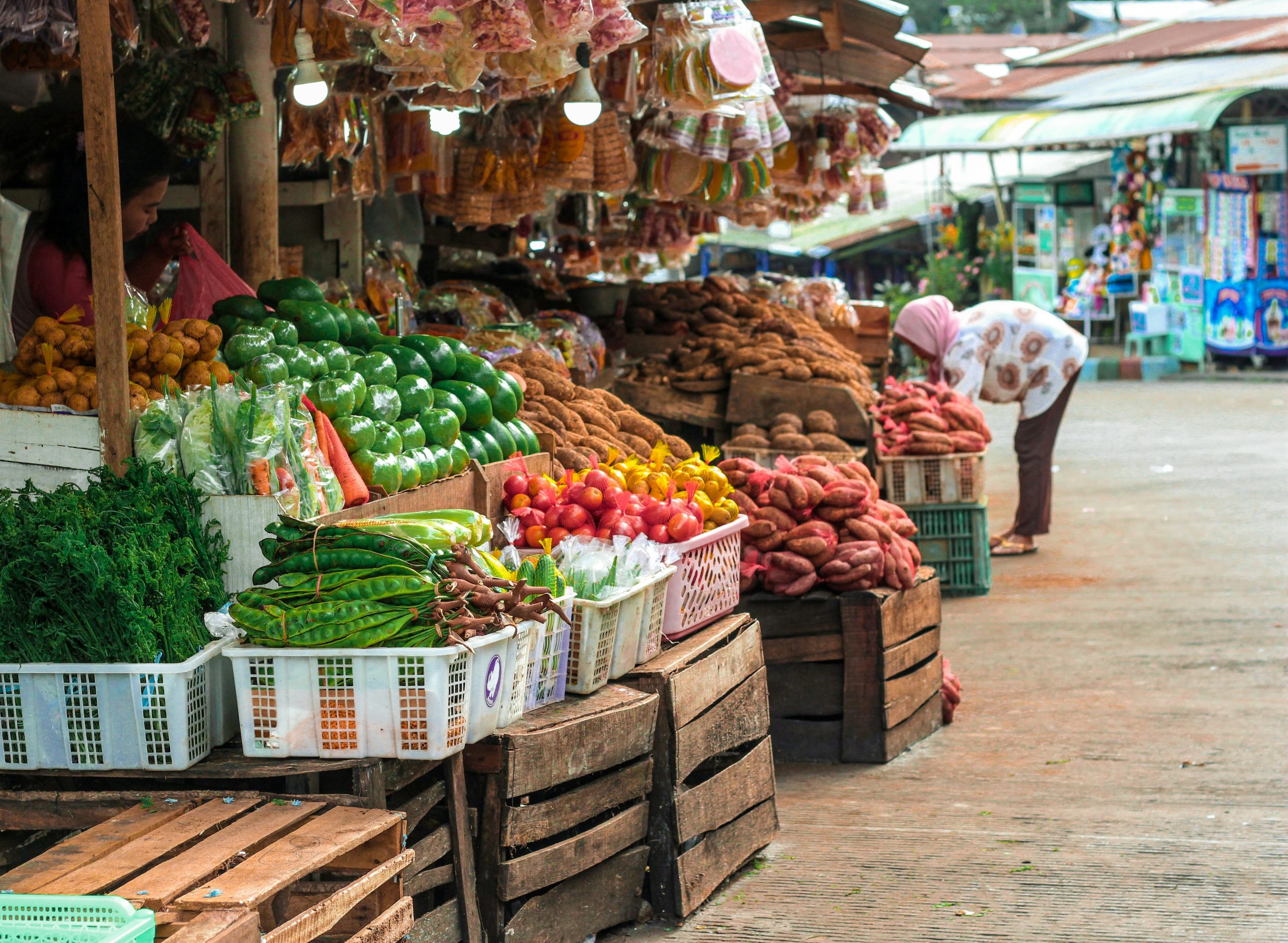 Marketing strategy for a new large-scale, solar-powered greenhouse in Indonesia